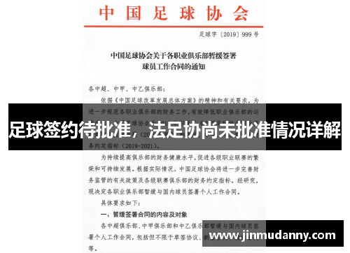 足球签约待批准，法足协尚未批准情况详解